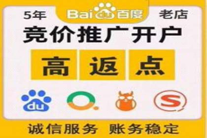 案例分析：高效信息流广告投放策略